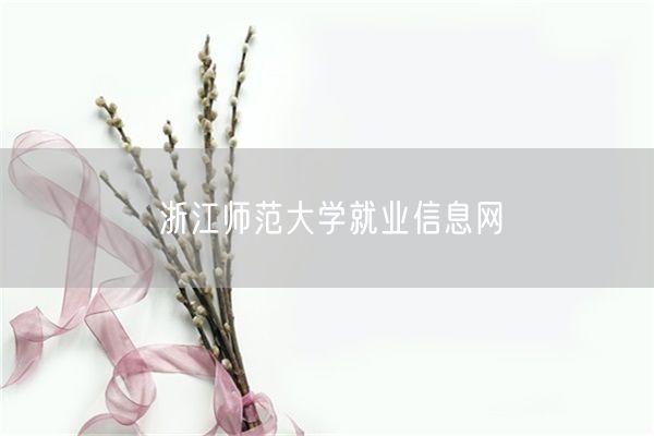 浙江师范大学就业信息网