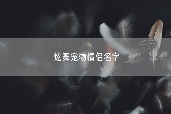 炫舞宠物情侣名字