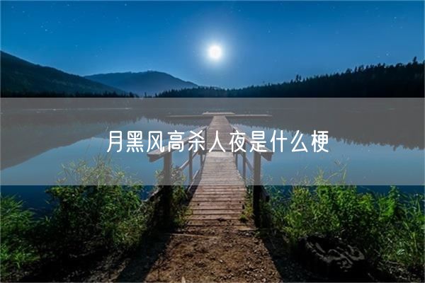 月黑风高杀人夜是什么梗