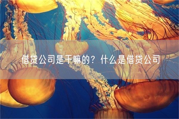 借贷公司是干嘛的？什么是借贷公司