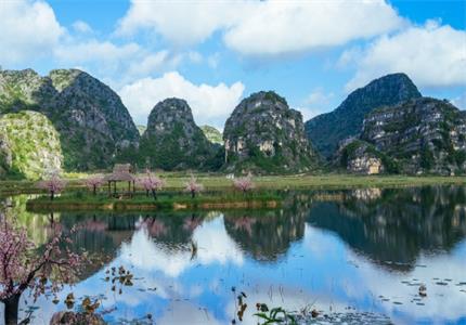 西畴县旅游景点