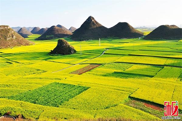 罗平-过年去哪里旅游比较好-十大过年旅游胜地分享